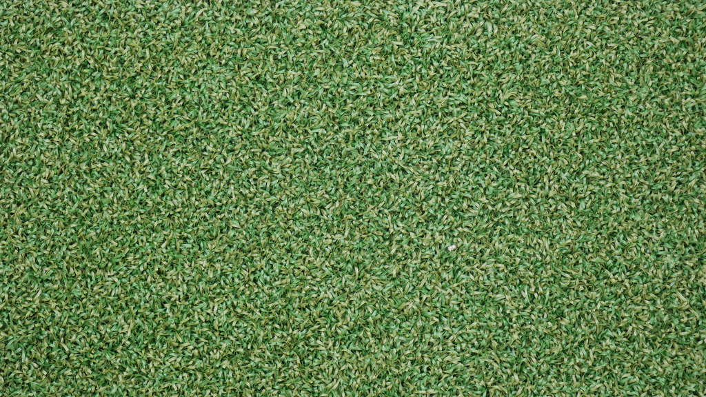 Green pro standard 1.webp