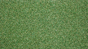 Green pro standard 1.webp
