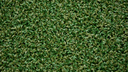 GREEN PRO STANDARD