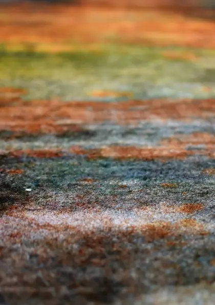 MOQUETTE IMPRIMÉE 1000 